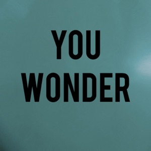 You Wonder