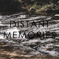 Distant Memories - Single - grayera