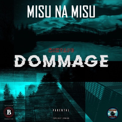 Mixtape dommage