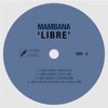 Libre (Axwell Vocal Mix) cover art