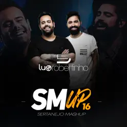 Sertanejo Mashup 16 - Lu e Robertinho