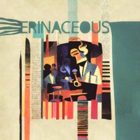 Erinaceous - Single - Jökull Logi & Jokujekku