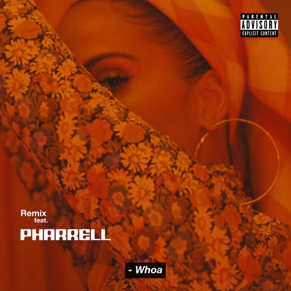 Whoa (feat. Pharrell Williams) [Remix] - Single - Snoh Aalegra