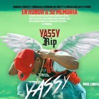 Triste dolor - Single - Bregadollar