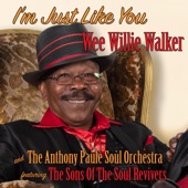 Wee Willie Walker, The Anthony Paule Soul Orchestra - I’m Just Like You (feat. The Sons of the Soul Revivers)