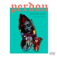 Perdon (feat. Lizz) - Single - Slim Dee