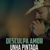 Desculpa Amor - Single