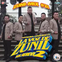 El Trenecito — Marimba Orquesta La Voz De Zunil