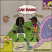 Gah Damn! (feat. Josh Dank) - Single - Cypher the Avatar