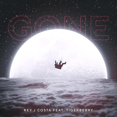Gone (feat. Tigerberry) - Single