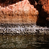 Good Grief - Single - Spacey Jane
