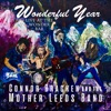 Wonderful Year (Live at the Wonder Bar, Asbury Park 2018)