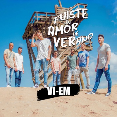 Fuiste un Amor de Verano - Single