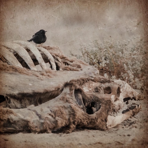 Close to Sand - Single