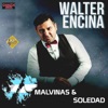 Malvinas y Soledad