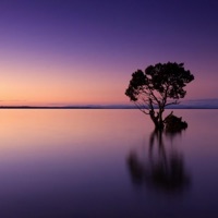 Hollow - Single - Meyo