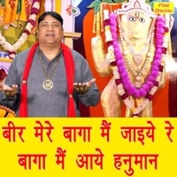Bir Mere Baga Me Jaiye Re Baga Me Aaye Hanuman - Single - Narender Kaushik