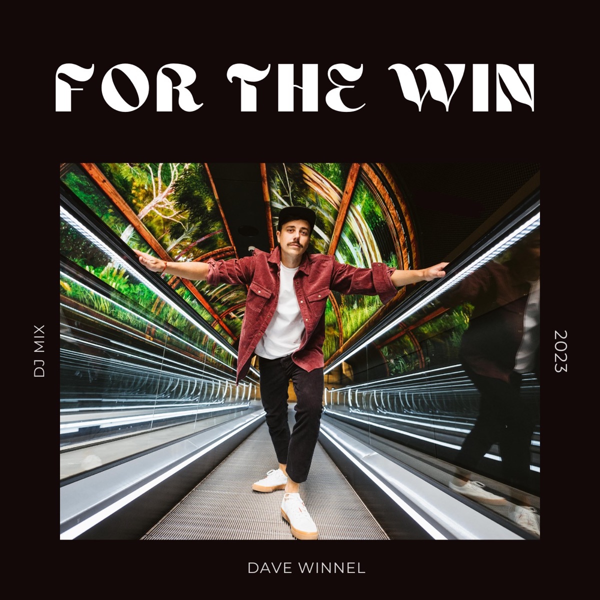 For The Win (DJ Mix) - Album by Dave Winnel - Apple Music