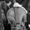 Daniel CAMUS Shallow (Instrumental) Shallow (Instrumental) - Single