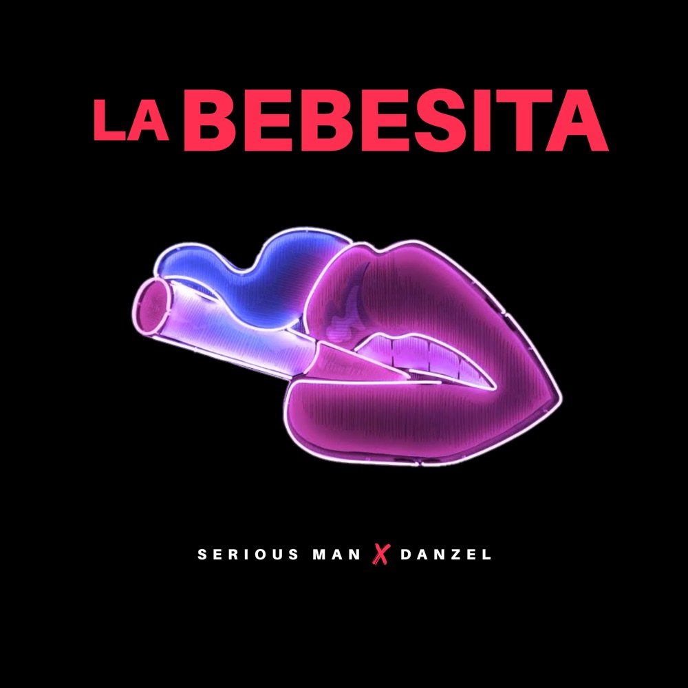 Обложка альбома «La Bebesita - Single» — Serious Man & Danzel