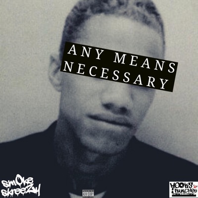 Any Means Necessary (feat. Hooks N Punches) - Single
