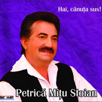 Petrica Mitu Stoian - Joaca Lumea, Joc Si Eu