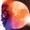 Kid Kudi feat. Steve Aoki - Pursuit Of Happiness