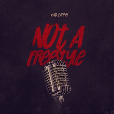 Not a Freestyle (feat. 2Won) - Single