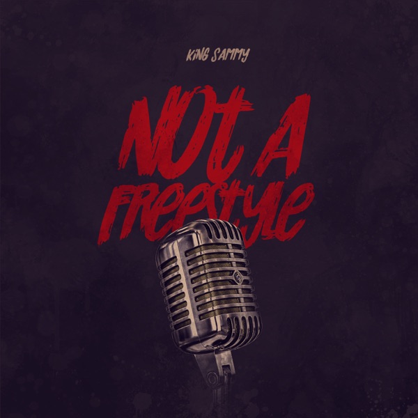 Not a Freestyle (feat. 2Won)