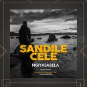 Ngiyasabela artwork