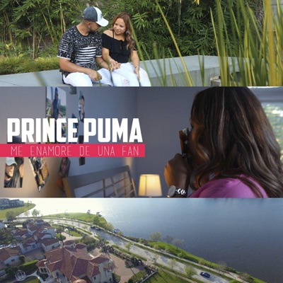 Me Enamoré de Una Fan - Single