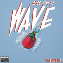 Back on My Wave Pushaman Live