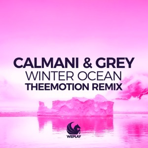 Winter Ocean (Theemotion Remix) [Remixes] - Single