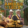 25 Grandes Éxitos