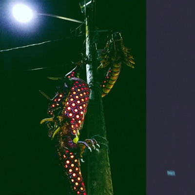 Jiu Jitsu (feat. 4nti.) - Single