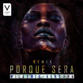 Porque Sera (Remix) artwork