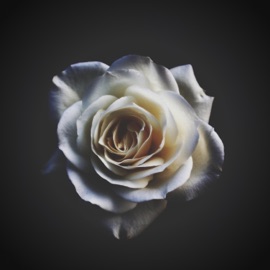 Phenom (feat. DeFine) P-Salm X NGK