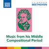 Celebrate Beethoven: Music from His Middle Compositional Period artwork