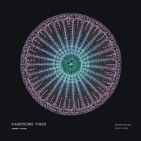 Beside Yourself / Give It to Me - Single - Handsome Tiger