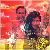 Om Namah Shivaya Dub Remix artwork