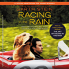 Racing in the Rain - Garth Stein