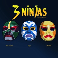 3 Ninjas (feat. Rich Luciano & Mischief) - Single - Tiggz