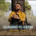 Cuando Tu Estas