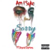 Sorry (feat. David James) - Single