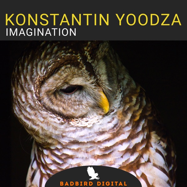 Imagination - Single - Konstantin Yoodza