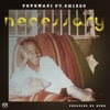 Necessary (feat. Shizzo) - Single