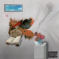 Lost in Translation - Adam Flowers