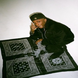 Levis Wasteey Monroe