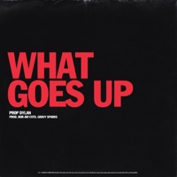 What Goes Up - Single - Prop Dylan