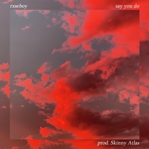 Say You Do (feat. Skinny Atlas) - Single